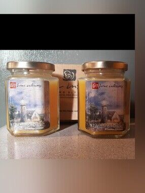 2 Vintage Candles from Home Interior "A Light in the Storm"